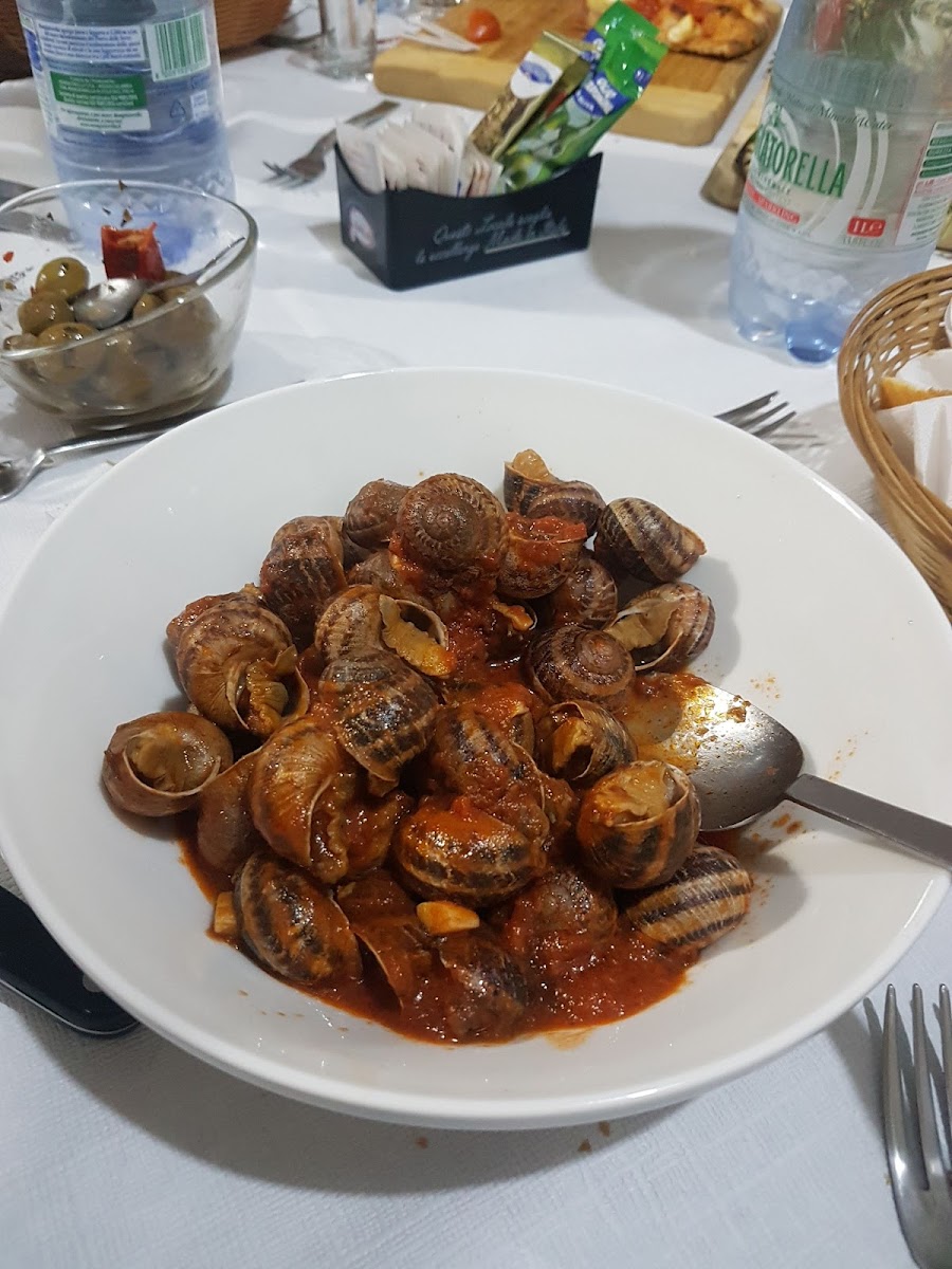 Pizzettiamo Pizzeria Braceria Di Salvatore Di Caro-10